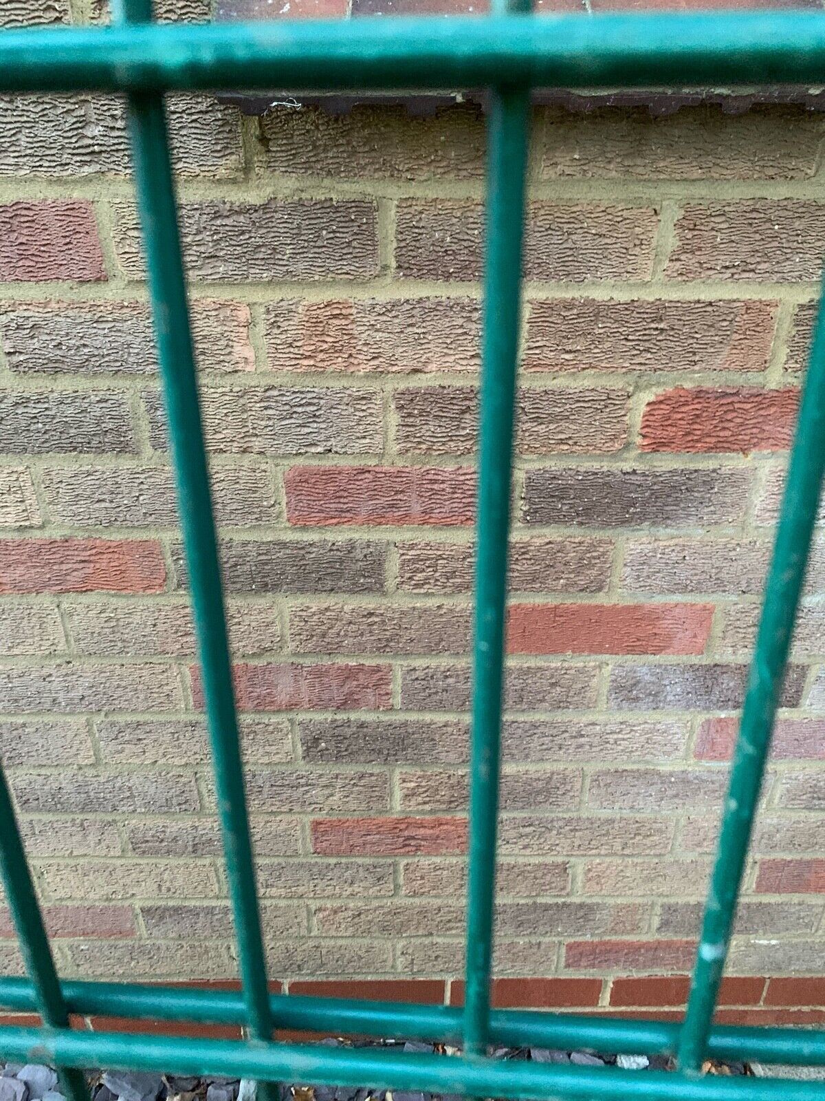 Green mesh fence panel security wire fencing reclaimed farm pets garden