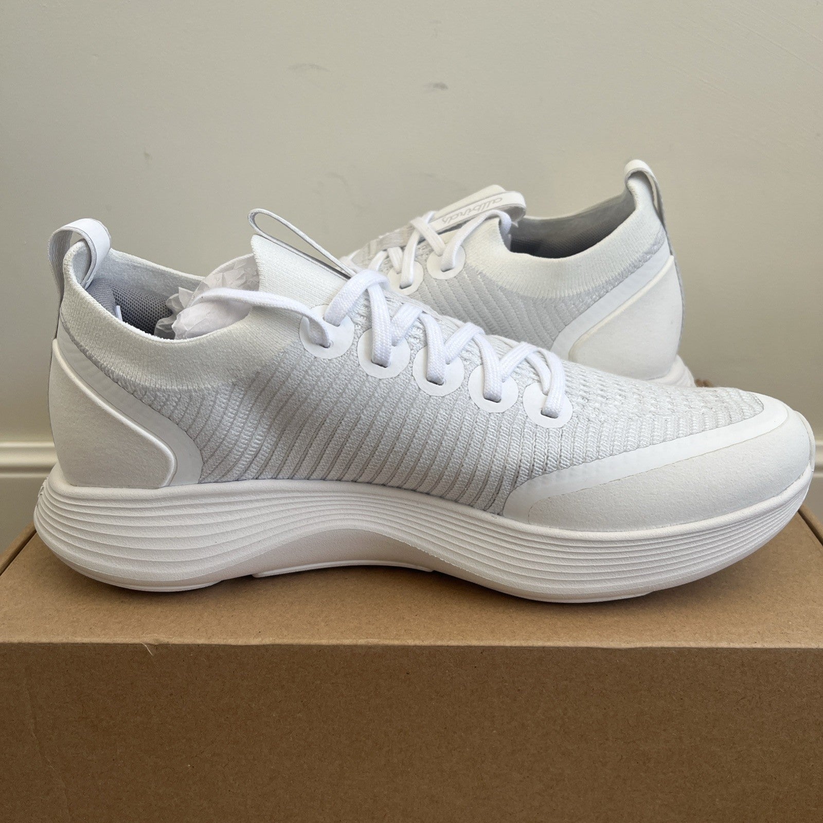 Allbirds Women's Strider Blizzard UK Size 7 White Trainers New In Box Ladies