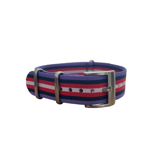 Nylon Nato Watch Strap Band Military Diver G10 22mm Combat RAF Army Surplus